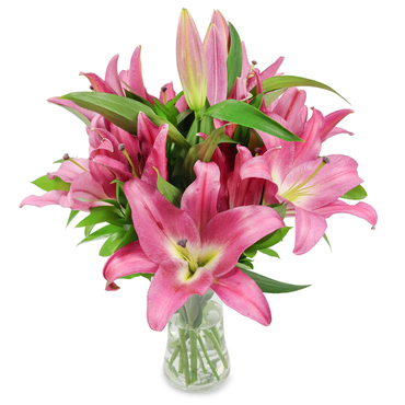 Send Fresh Cut Flowers by Post