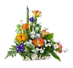 Get Well Flowers by Post UK