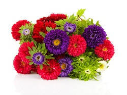 Get Well Soon Flowers Delivery